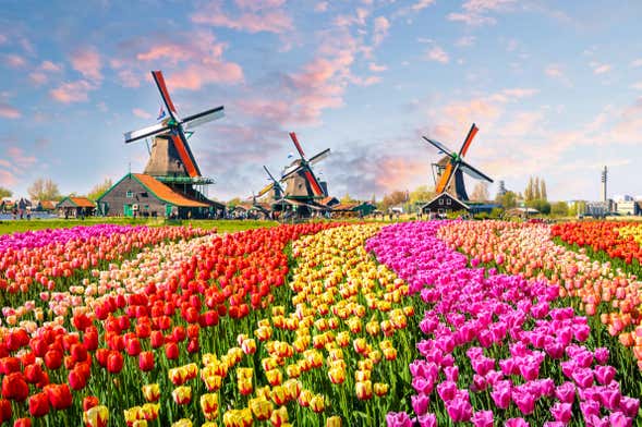 Excursión a Keukenhof y Delft
